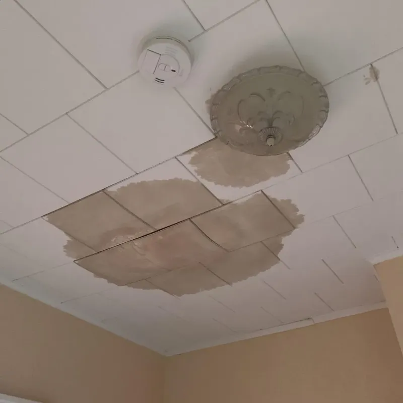 Ceiling Water Damage Repair in Green Level, NC