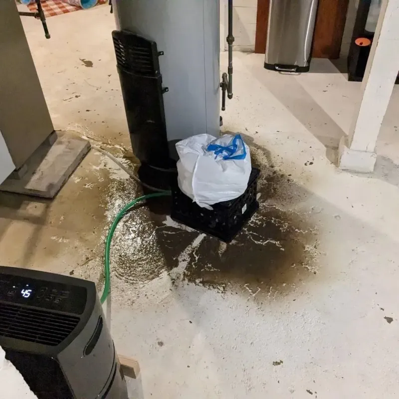 Sewage Backup Cleanup Service in Green Level, NC